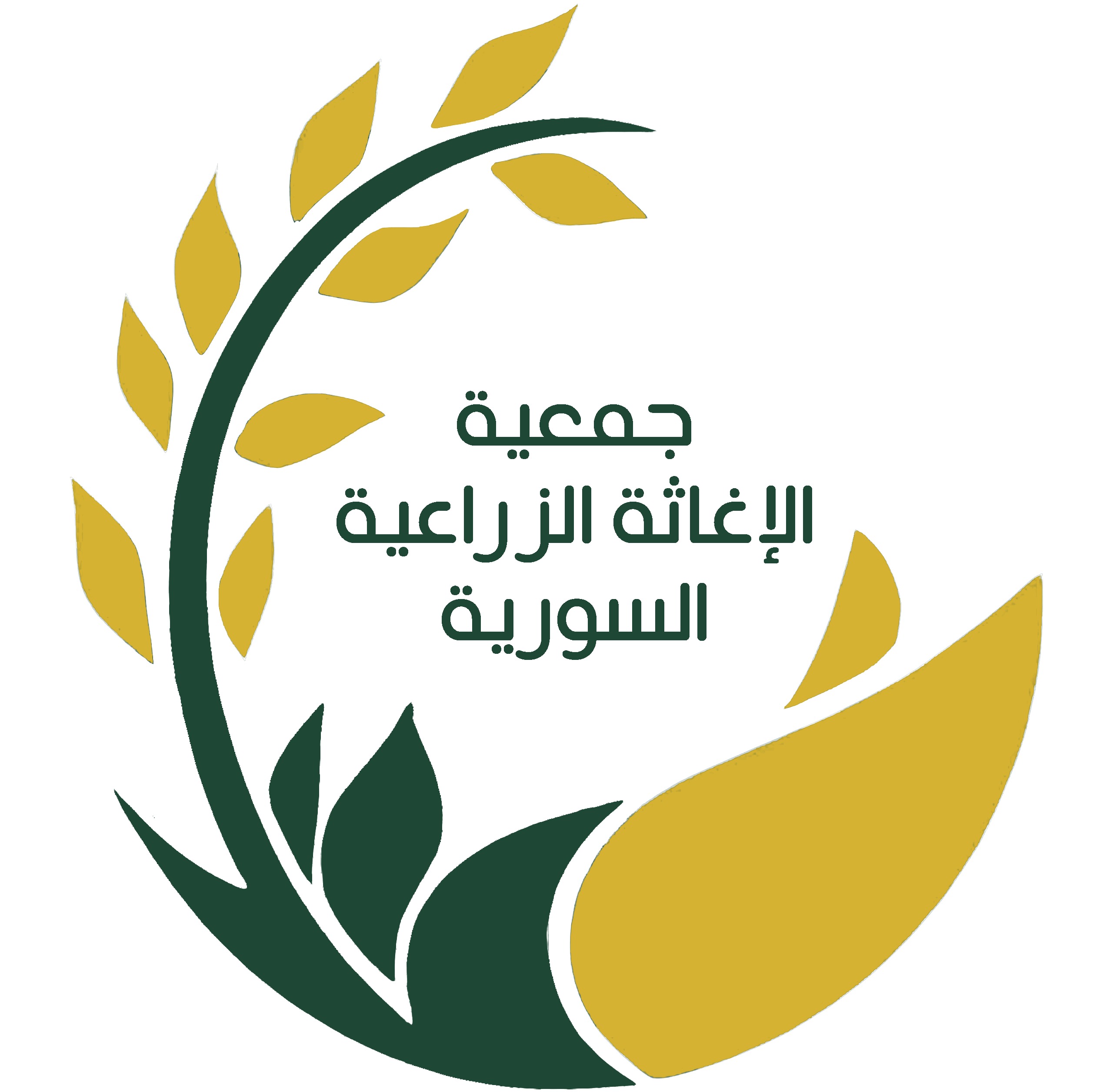 saro-sy.org
