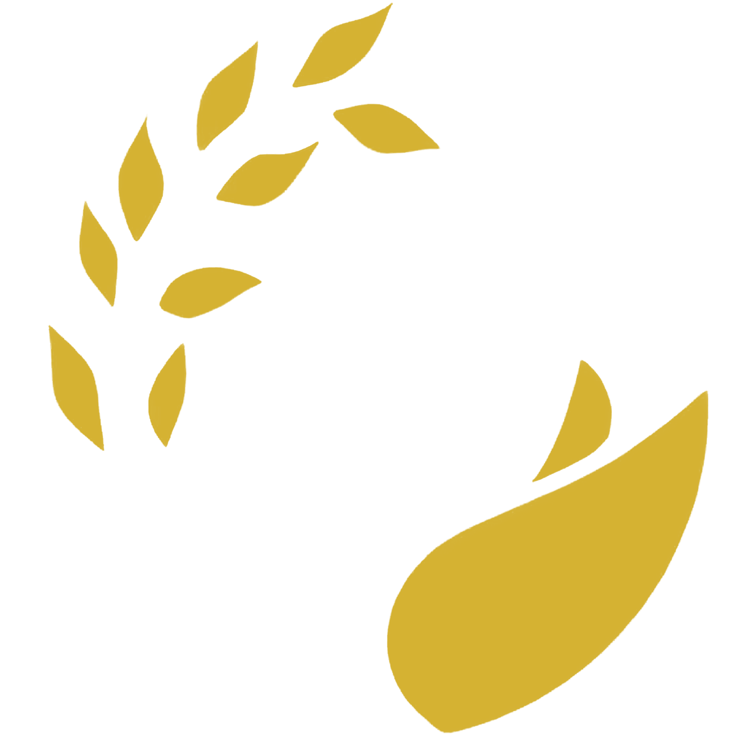 saro-sy.org